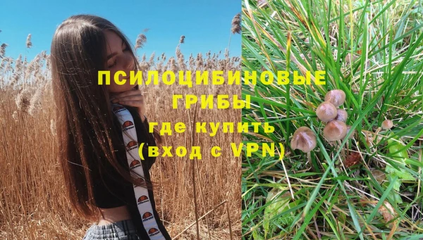 соль курить ск Алексеевка