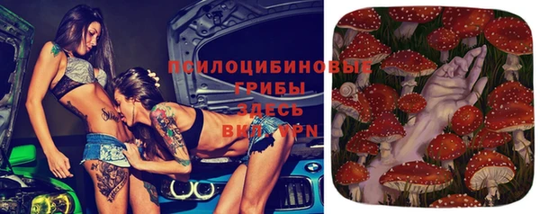 прущая мука Алзамай